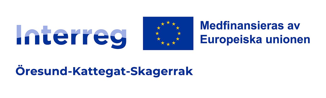 Interreg-logga med EU-flagga. Bild.
